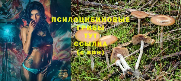 дурь Богданович