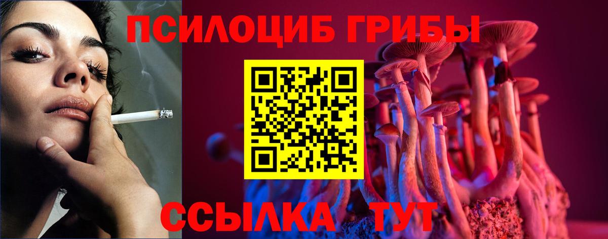 Галлюциногенные грибы GOLDEN TEACHER  Вход с VPN  Галлюциногенные грибы GOLDEN TEACHER  купить наркотик  Буйнакск 